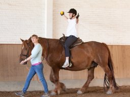 2013 Ridefysioterapi